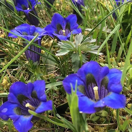 Restaurant Raetia 여관 3*