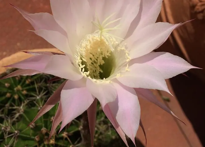 Restaurant Raetia 3*